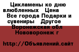 Цикламены ко дню влюбленных › Цена ­ 180 - Все города Подарки и сувениры » Другое   . Воронежская обл.,Нововоронеж г.